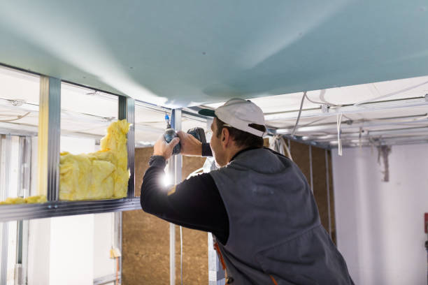 Best Weatherproofing Services  in Arden Hills, MN