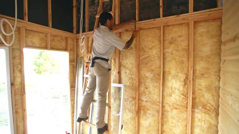 Best Batt and Roll Insulation  in Arden Hills, MN