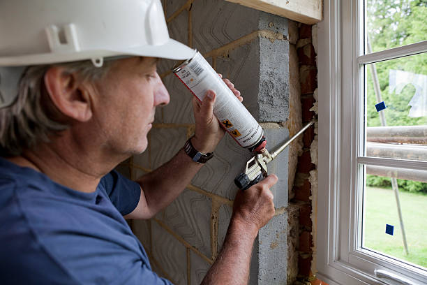 Best Insulation Air Sealing  in Arden Hills, MN